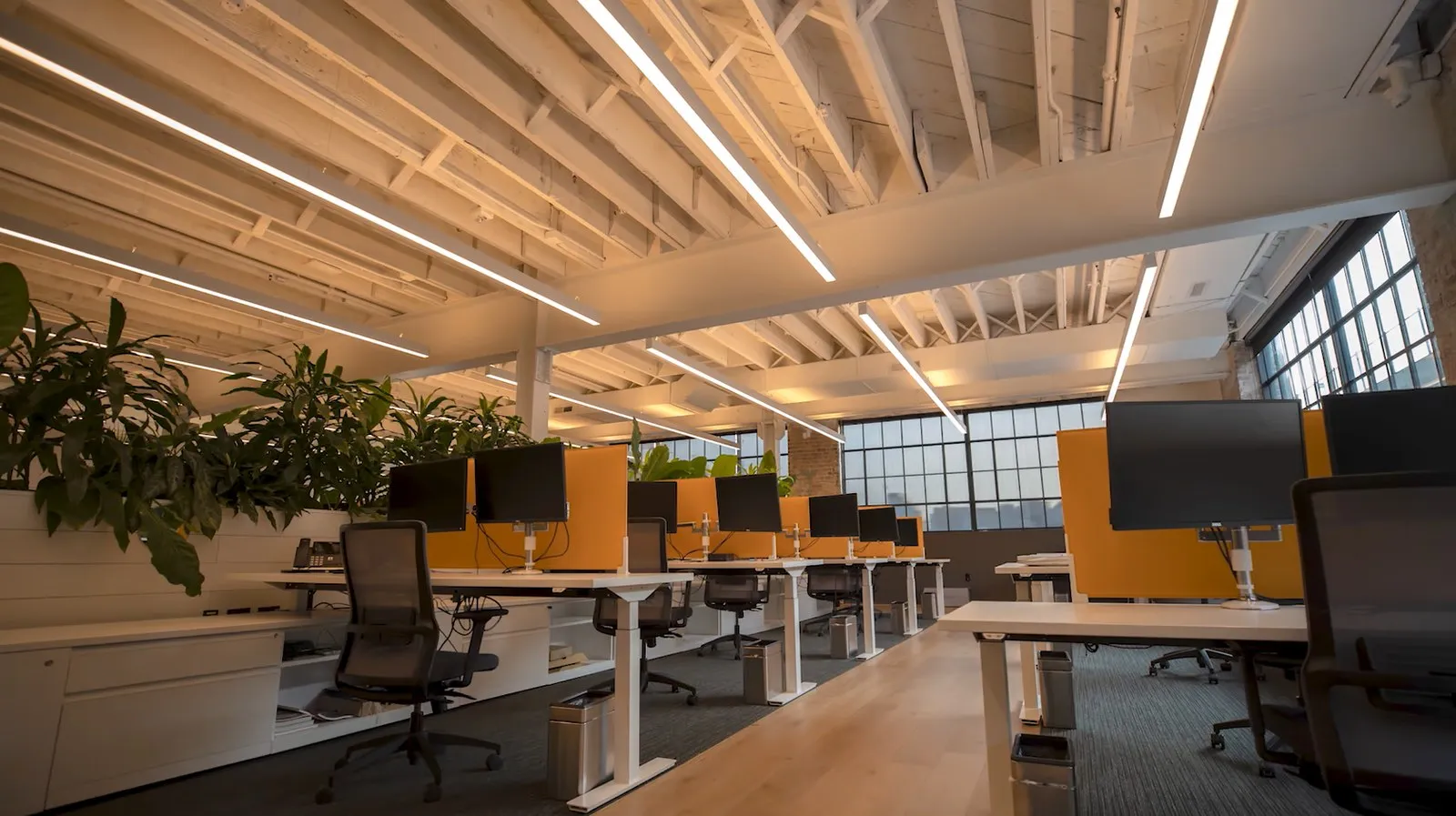 Modern office with linear architectural lighting